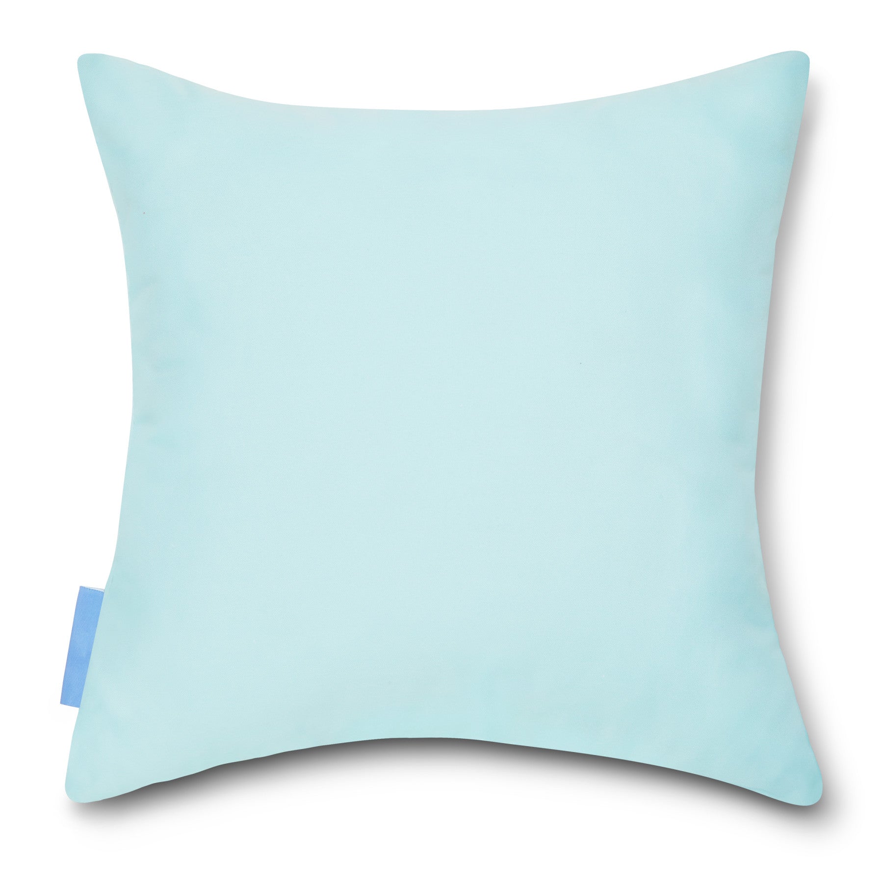 Accent Pillow - 2 Pack