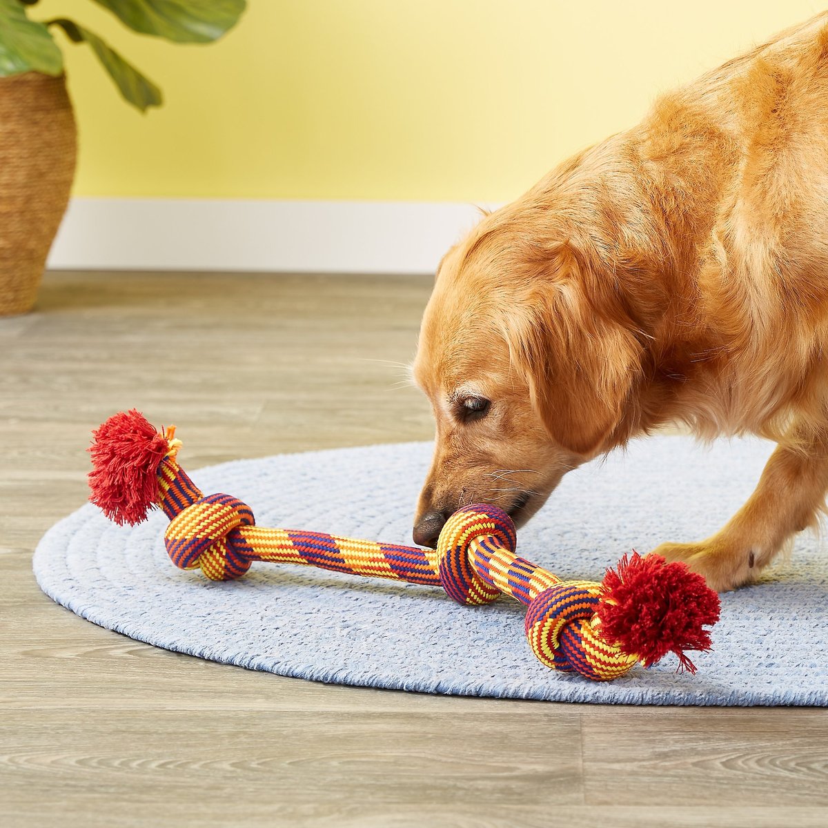 Mammoth Knot Tug for Dogs， Color Varies