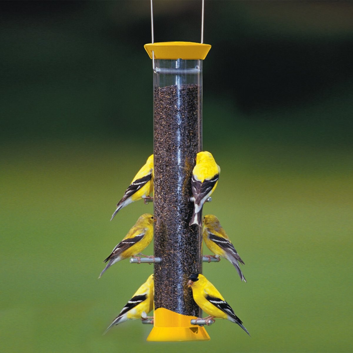 Droll Yankees New Generation Finch Flocker Nyjer Seed Bird Feeder