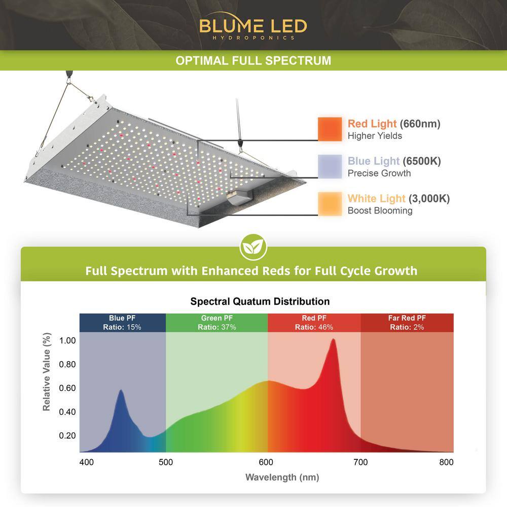 BLUME LED HYDROPONICS Blume 150-Watt full spectrum led Grow Light with daisy for indoor plants Bright White Color Temperature(2-PACK) BL1500