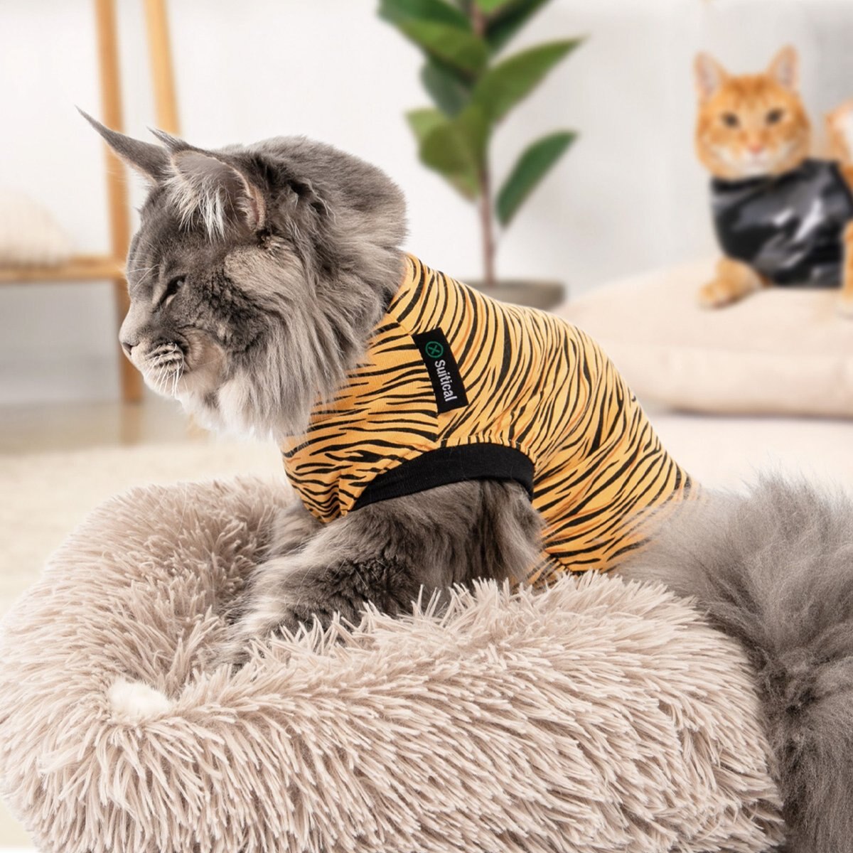 Suitical Recovery Suit Cat Apparel， Tiger Print