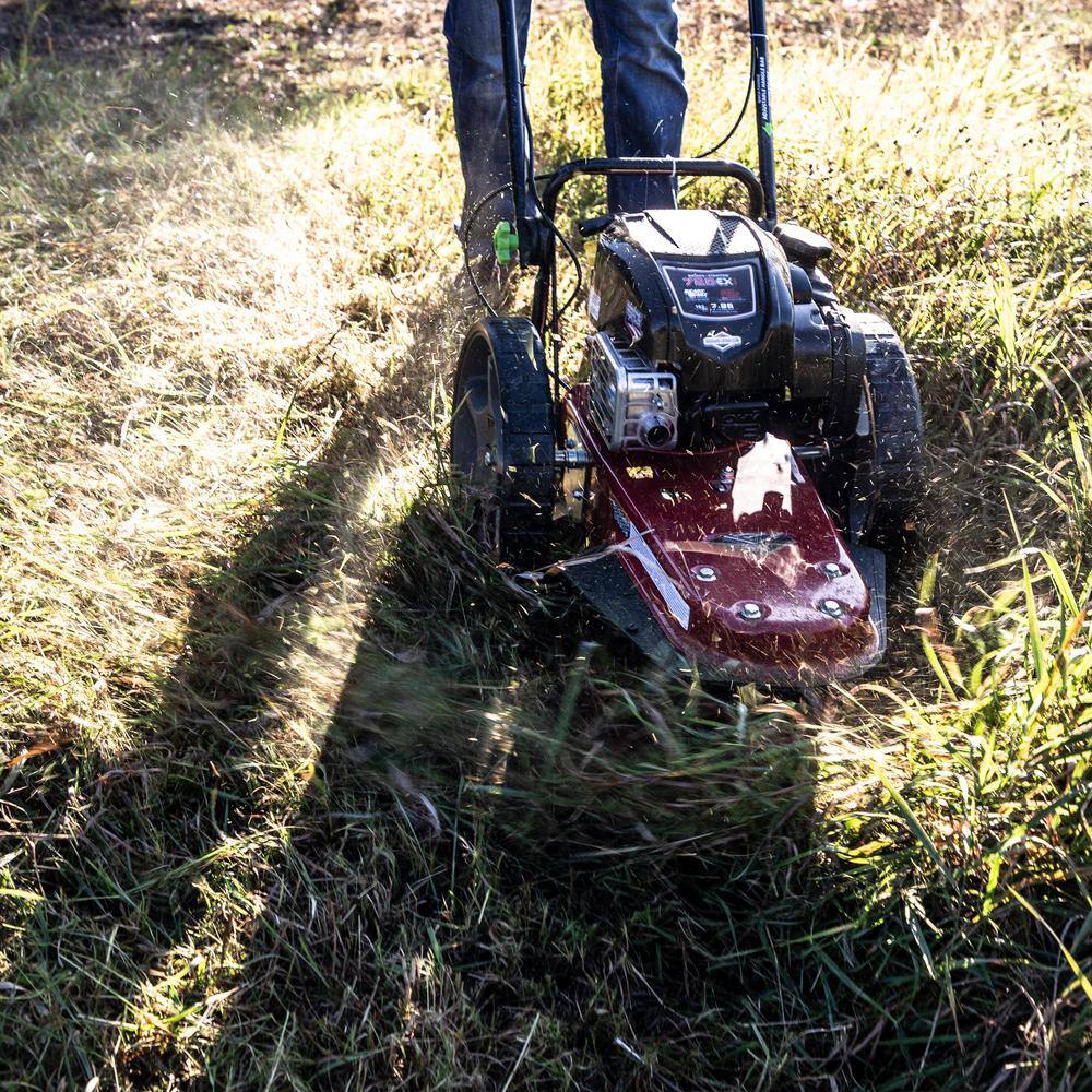 Earthquake 22 in. Cutting Width with 163cc Briggs and Stratton Engine M605 Walk Behind String Mower 37676