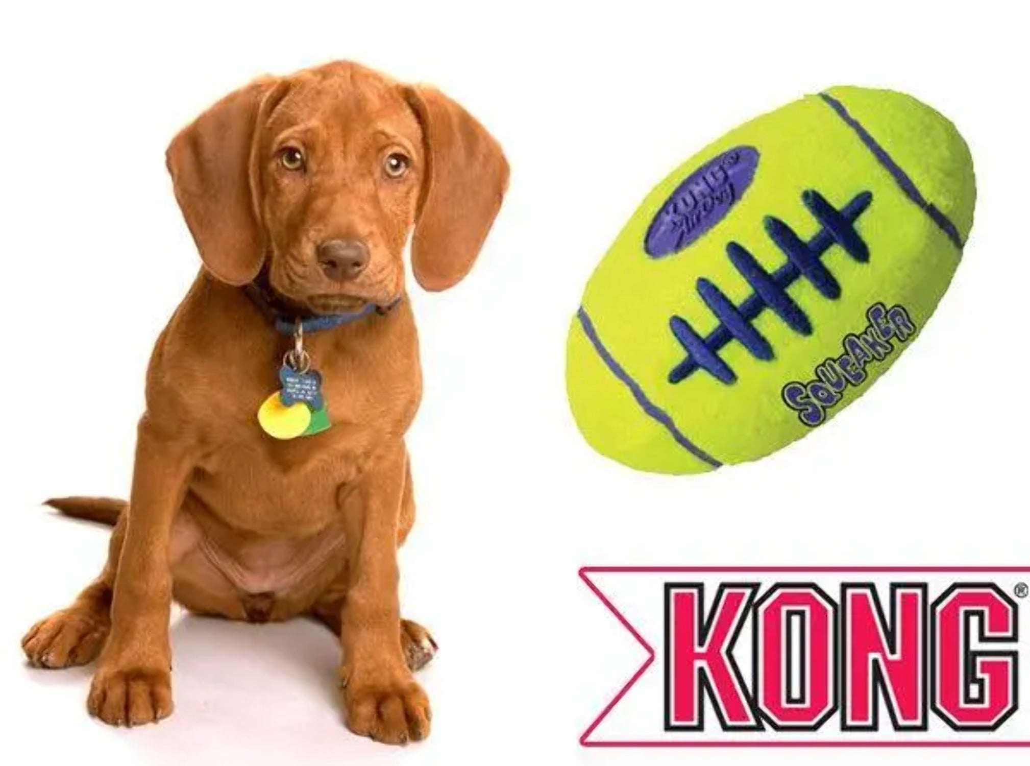 KONG AirDog Squeaker Foorball Dog Toy， Medium