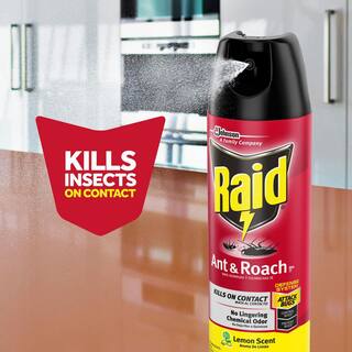 Raid 20 oz. Ant and Roach Killer 26 Lemon Scent SCJ327308