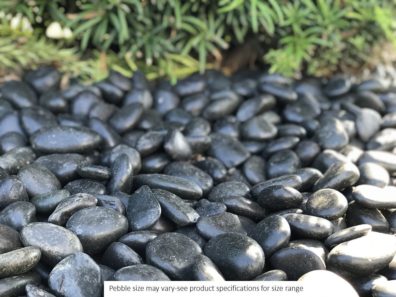 Rainforest, Outdoor Decorative Stone, Polished Pebbles, Black, 1-2", 20lbs.