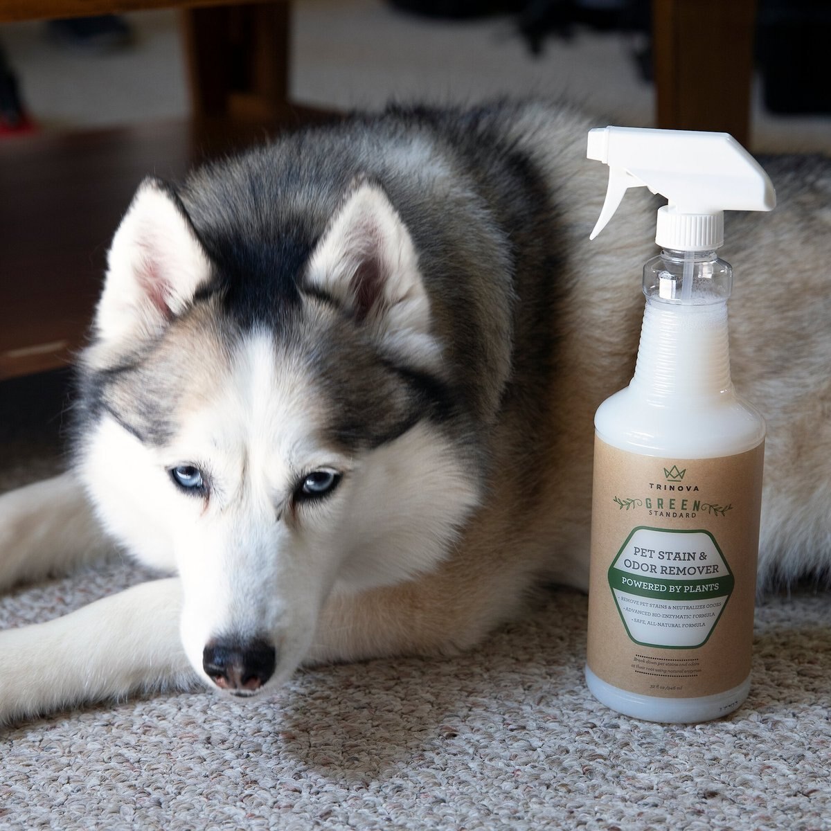 TriNova Pet Stain and Odor Remover