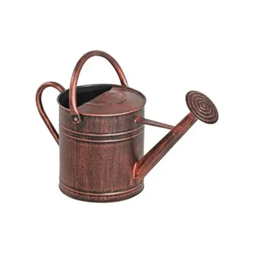 Premium Quality Hot Selling Galvanized Decorative Mini Watering Can with Best Price watering can