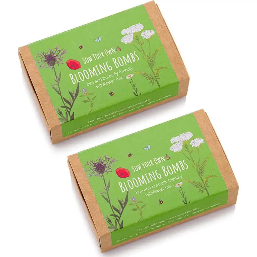 OEM Wildflower Seedball For Bees And Butterflies 2x Boxes Flower Box Garden Supplies Handmade Paper Indoor Grow Kits