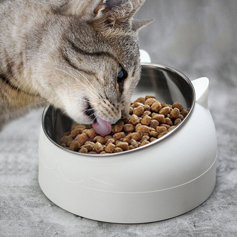 Pet Bowl,2Pcs Cat Bowl Stainless Steel Raised None Slip Elevated Stand Tilted Pet Feeder