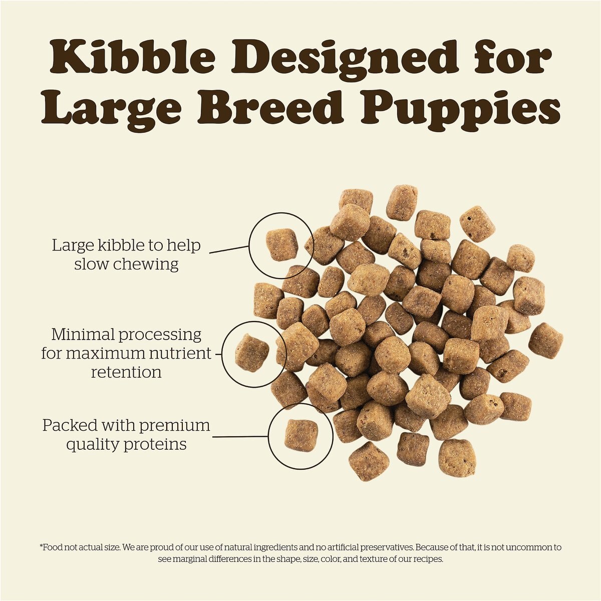 Now Fresh Grain-Free Large Breed Puppy Recipe Dry Dog Food