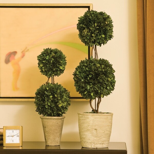 Boxwood Double Sphere Topiary 28