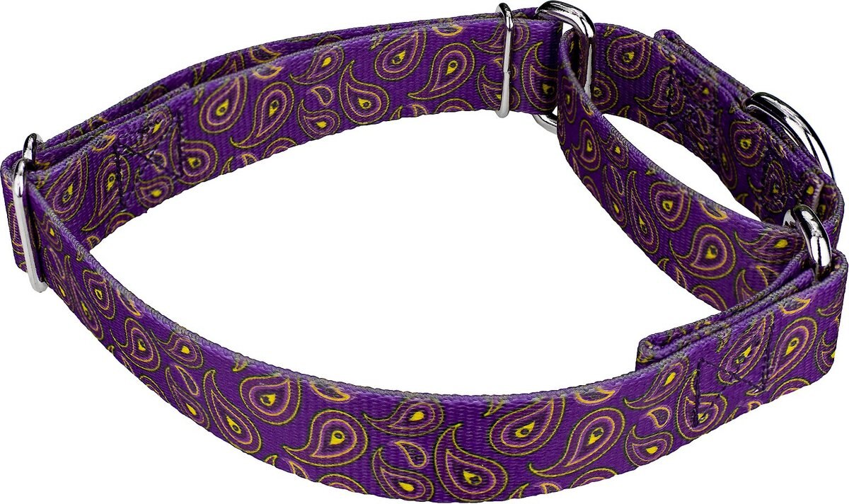 Country Brook Design Paisley Polyester Martingale Dog Collar