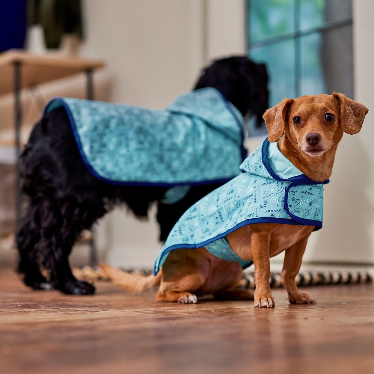 Frisco Doodle Dog Raincoat