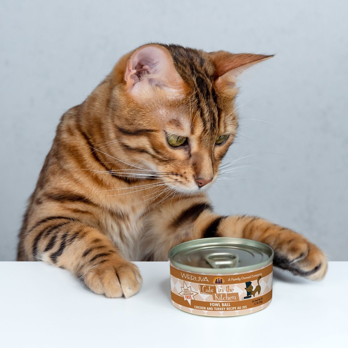 Weruva Cats in the Kitchen Fowl Ball Chicken and Turkey Au Jus Grain-Free Canned Cat Food