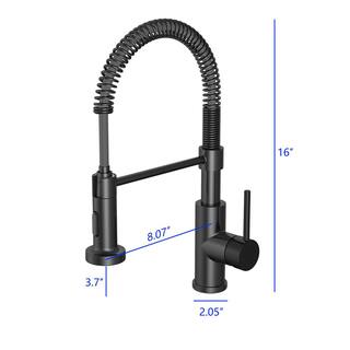 PRIVATE BRAND UNBRANDED Cartway Single-Handle Spring Pull-Down Sprayer Kitchen Faucet in Matte Black D005O