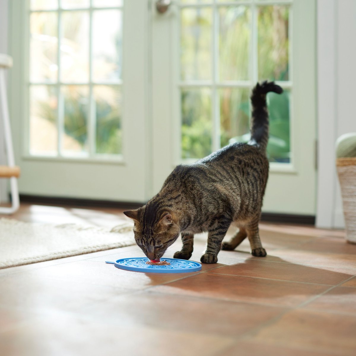 Frisco Non-skid Flower Silicone Dog and Cat Lick Mat， Blue