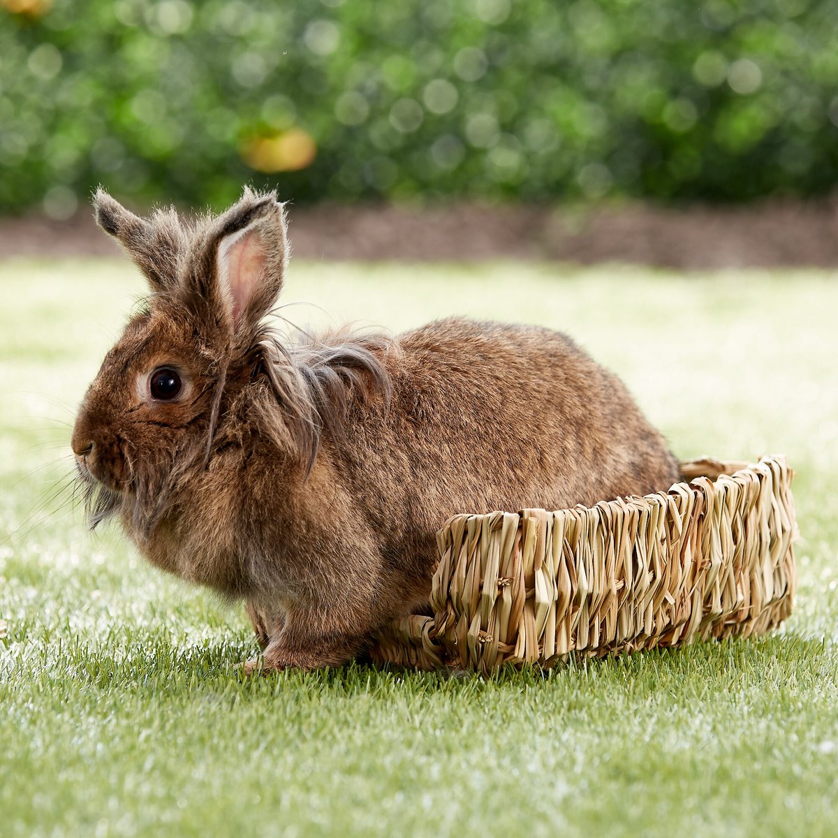 Peter's Woven Grass Small Animal Bed