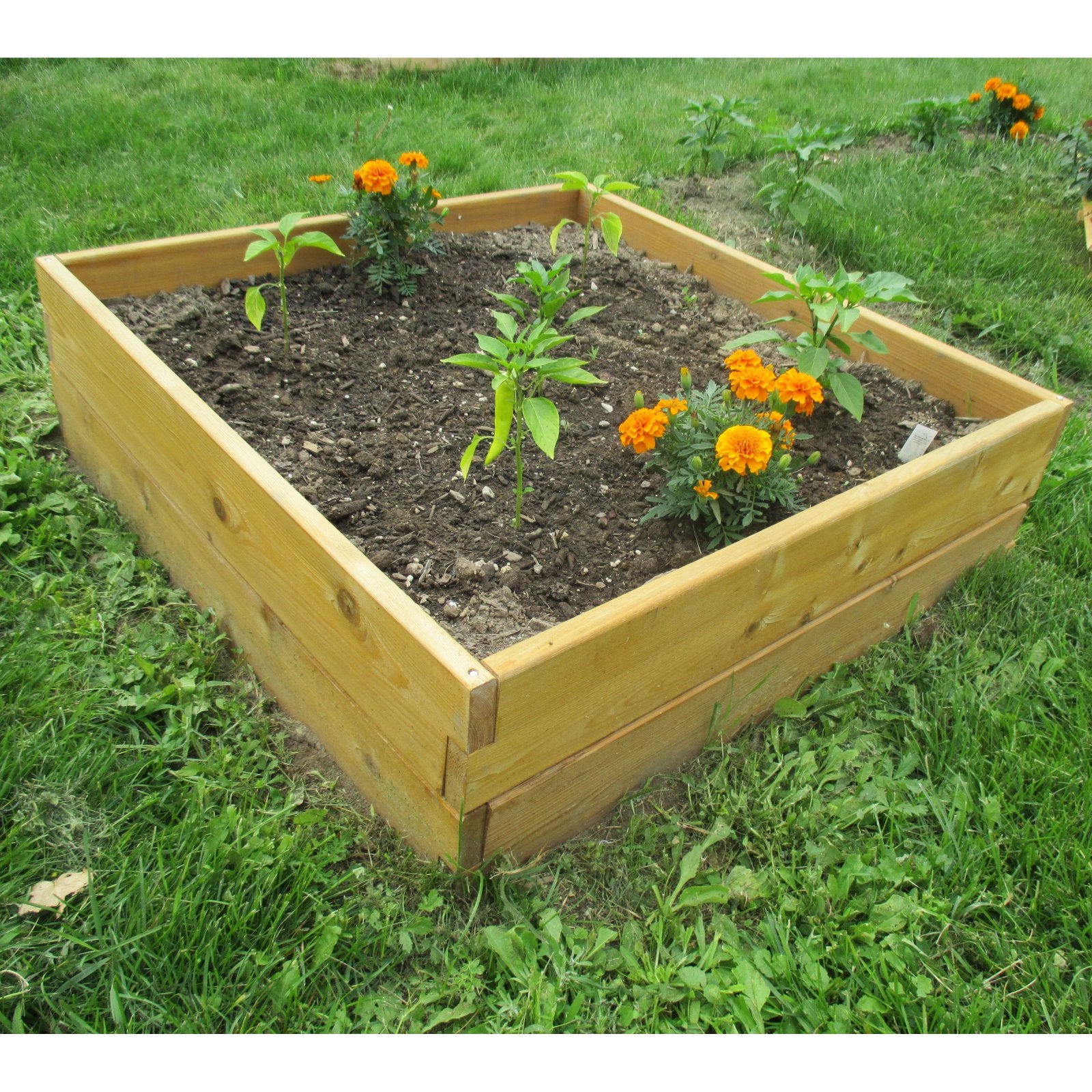 Infinite Cedar 3 ft W x 3 ft L x 11 inches Ht Raised Garden Bed Kit