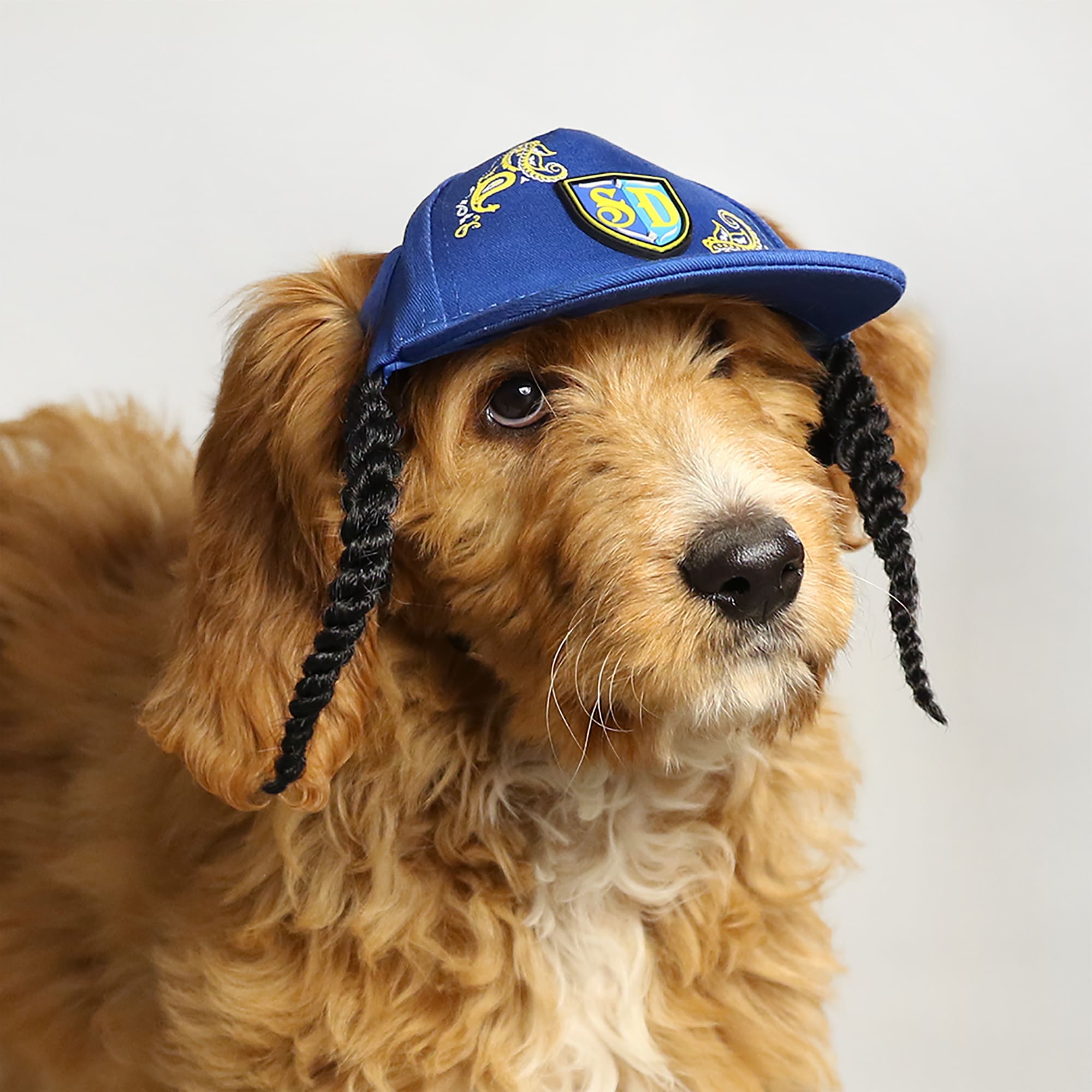 Snoop Doggie Doggs Blue Halftime Deluxe Pet Baseball Hat， X-Small