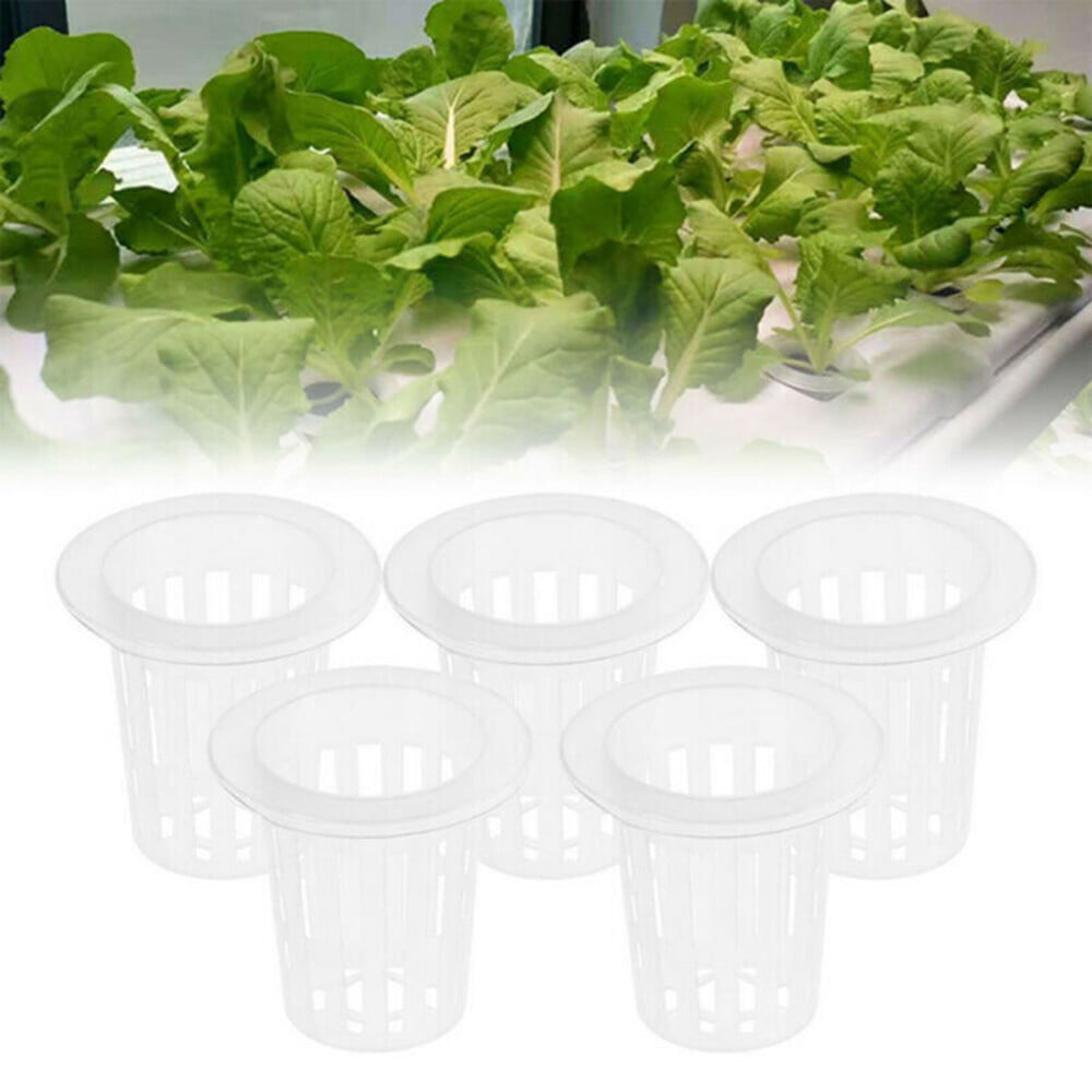 QIFEI 50Pack Hydroponic Cups， 35mm Net Pots Cups with Seed Growing Media Cylindric Sponges for Hydroponics， Slotted Mesh White