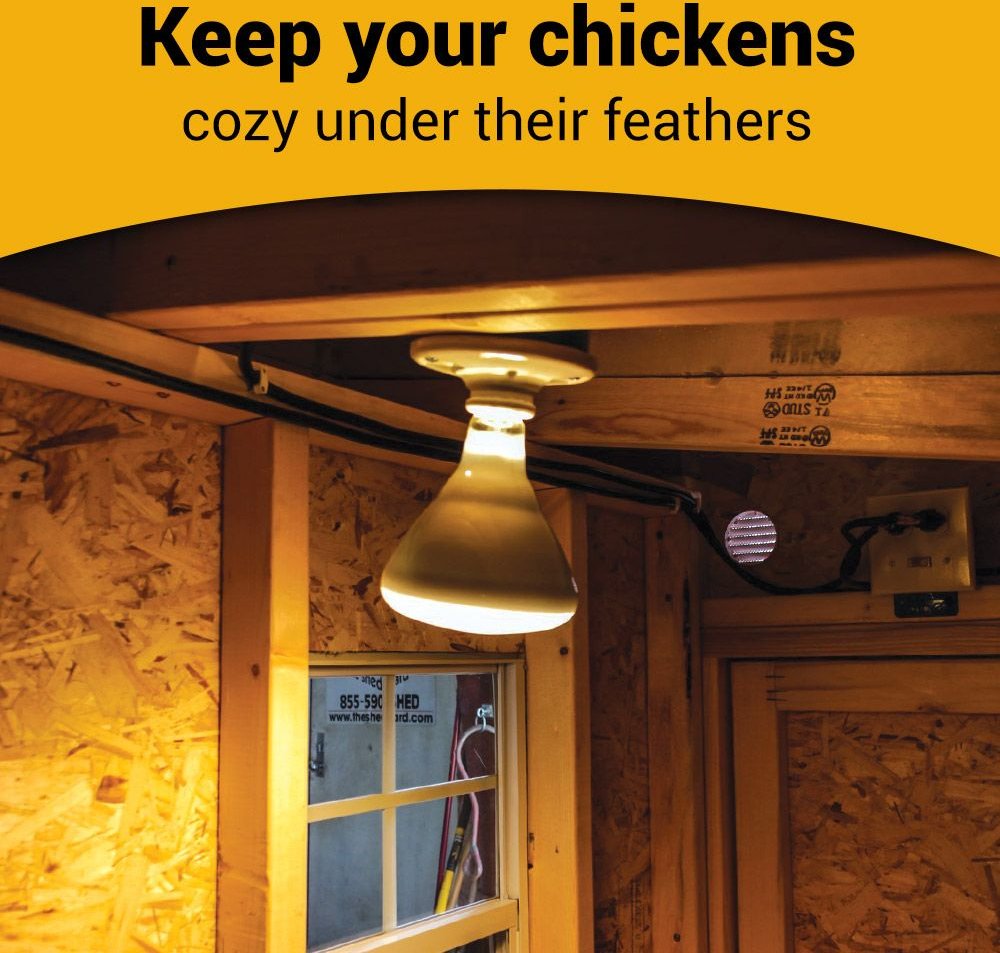 OverEZ Chicken Coop Electrical Heat Package Farm Accessory