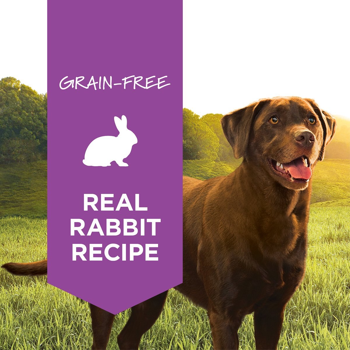 Instinct Original Grain-Free Real Rabbit Recipe Natural Wet Canned Dog Food