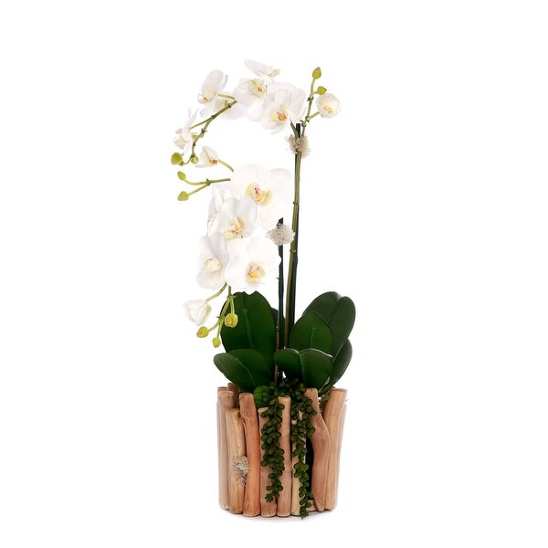 Real Touch Orchids in Glass Vase Wood Branches Planter