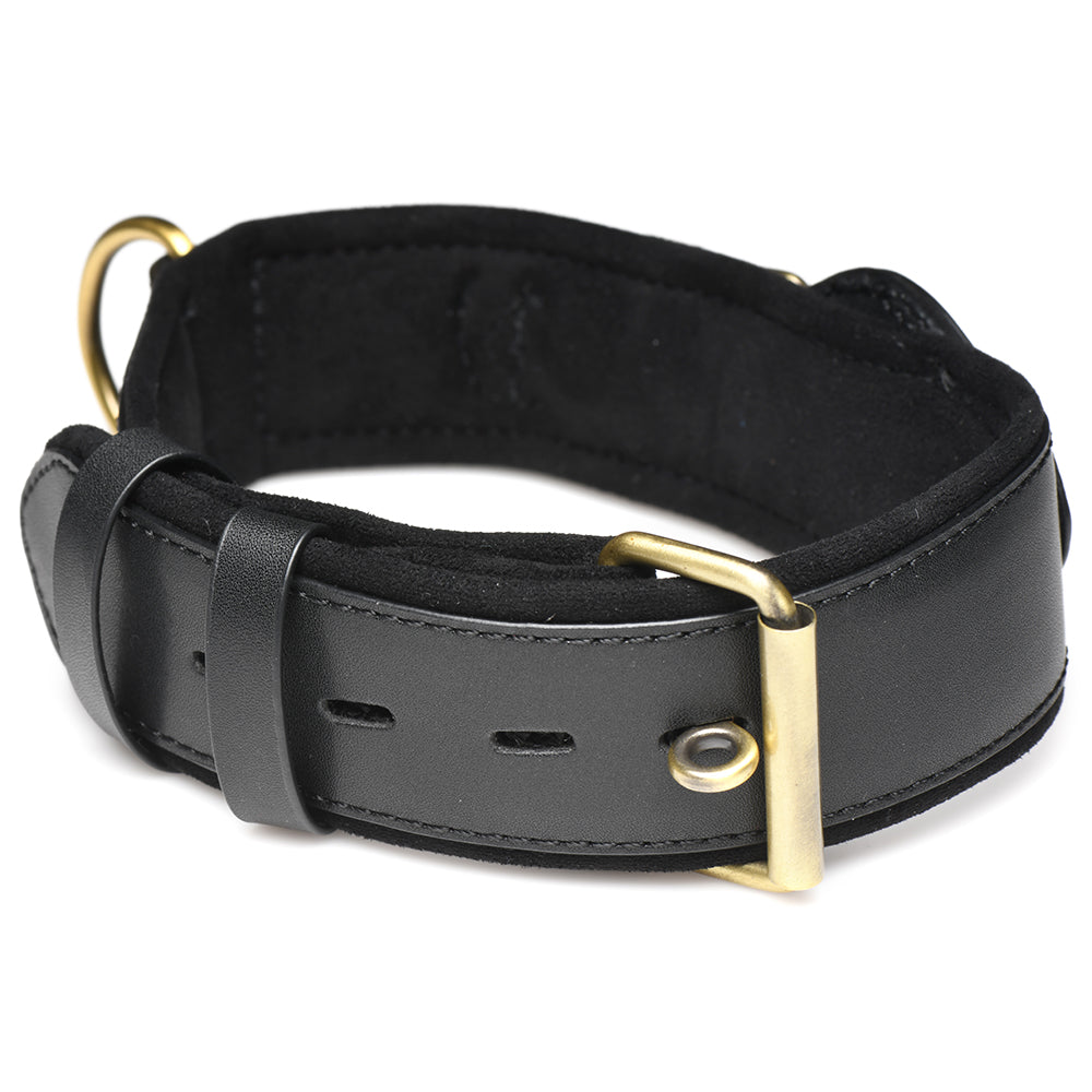 Master Series Tracer Tracking Collar