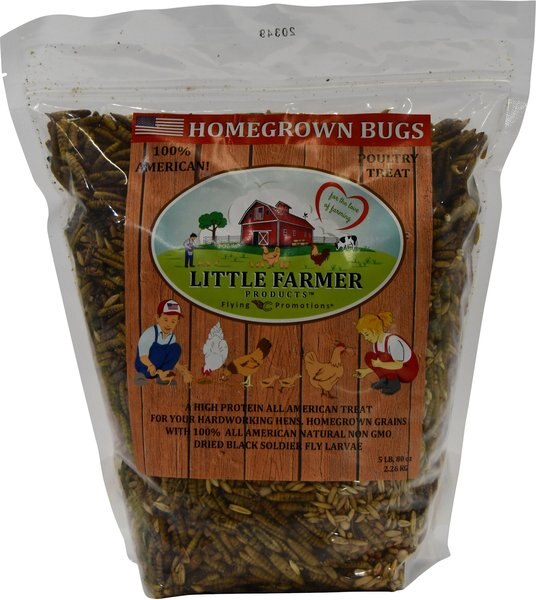 Little Farmer Products Homegrown Bugs Black Soldier Fly Grubs and Grains Chicken Treats