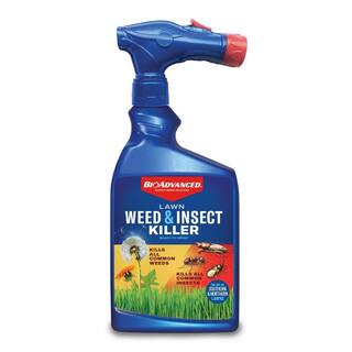 BIOADVANCED 32 oz. Ready to Spray Lawn Weed Plus Insect Killer 800201B