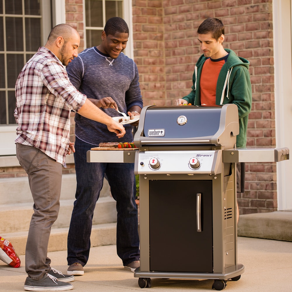 Weber Spirit E-210 Black 2-Burner Liquid Propane Gas Grill