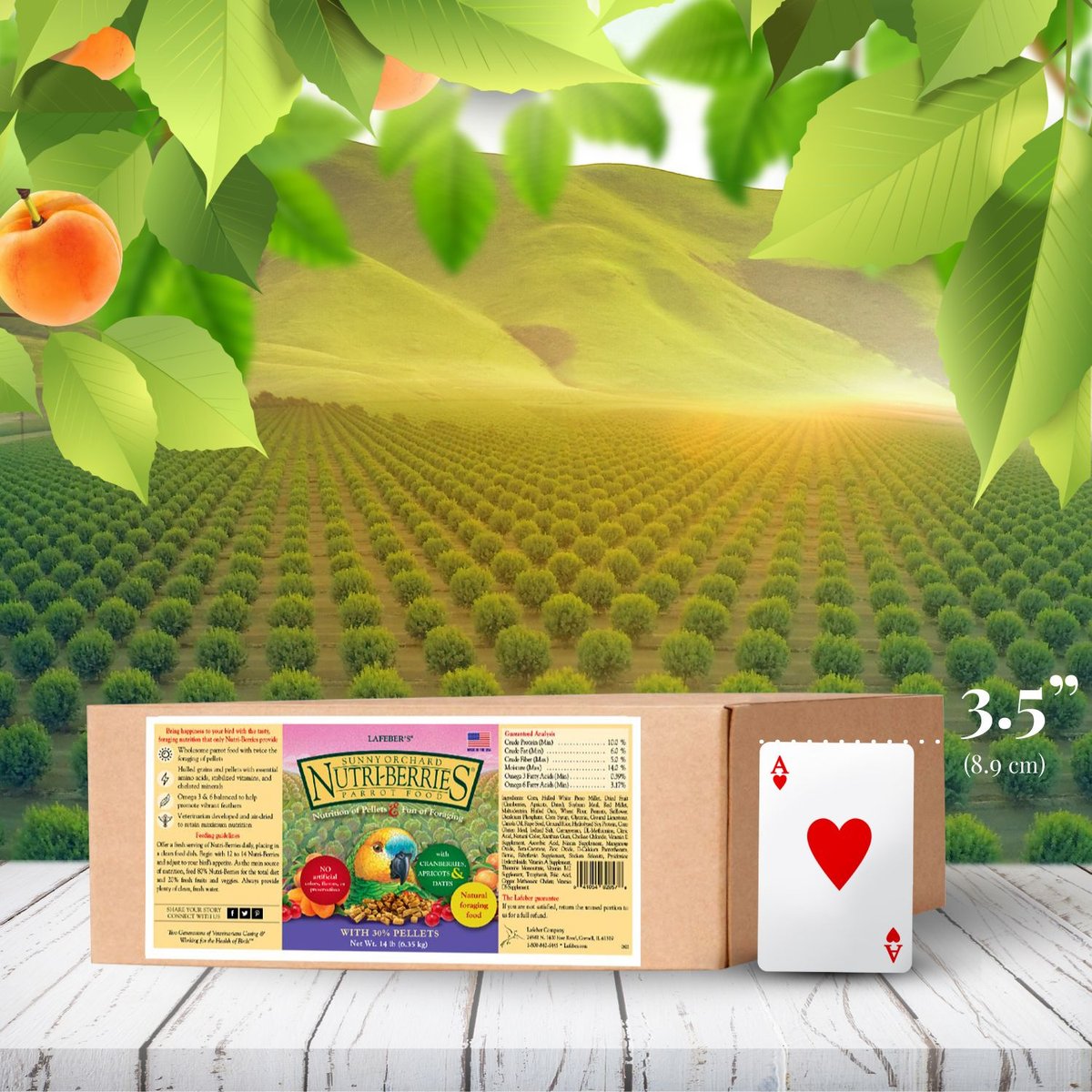 Lafeber Sunny Orchard Nutri-Berries Parrot Food