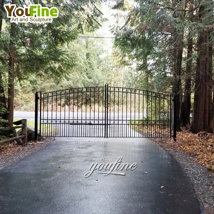 New Fancy Design Wrought Iron Entrance Gate