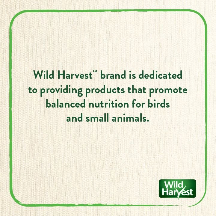 Wild Harvest Healthy Benefits Sprout Blend Small and Medium Bird Treats， 2.5-oz bag