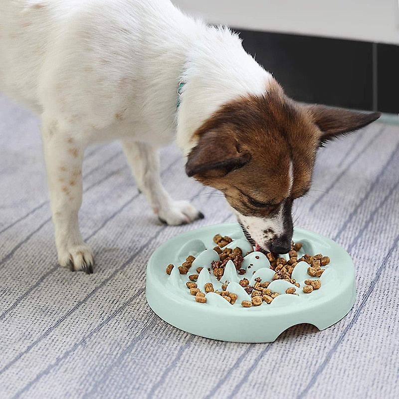 Anti slip pet slow feeder bowl