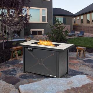 Alpulon 42 in. Outdoor Metal Rectangular Propane Gas Fire Pit Table with Table Cover ZMWV303