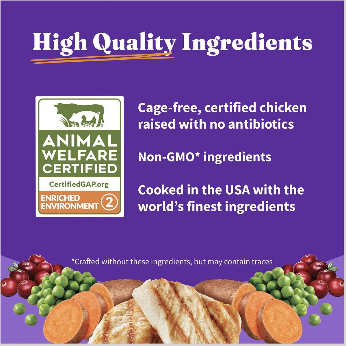 Halo Holistic Kitten Food Grain-Free Cage-Free Chicken Recipe Complete Digestive Health Dry Cat Food