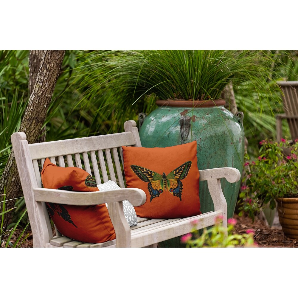 Colorful Swallowtail Polyester Indoor/Outdoor Pillow