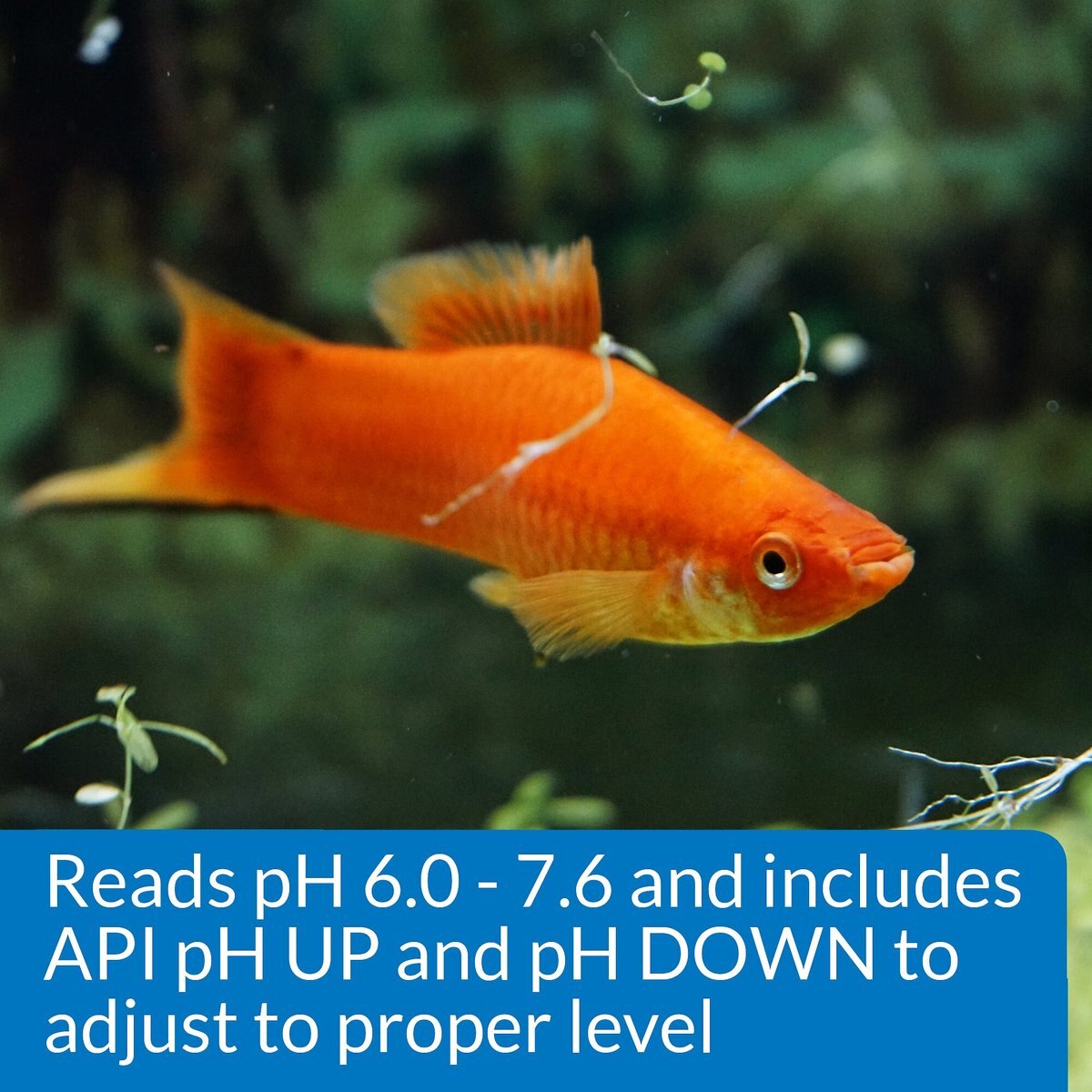 API pH Freshwater Aquarium Test and Adjuster Kit