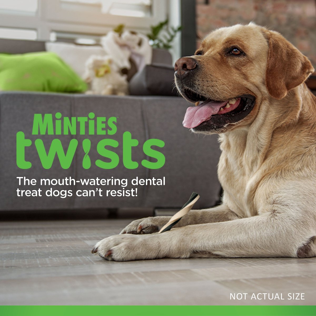 Minties Twists Large Vanilla Mint Dental Dog Treats