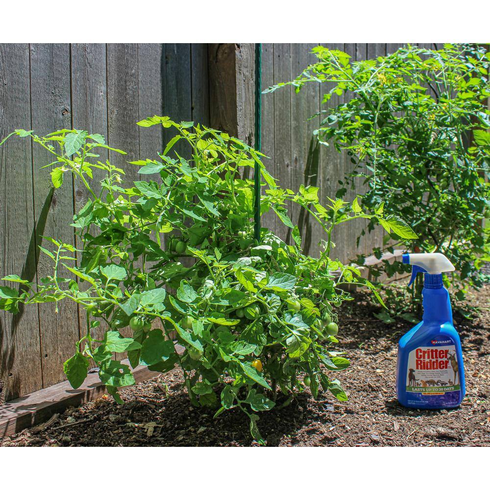 Havahart Critter Ridder II 32 oz. Ready-to-Use Animal Repellent 3145-2