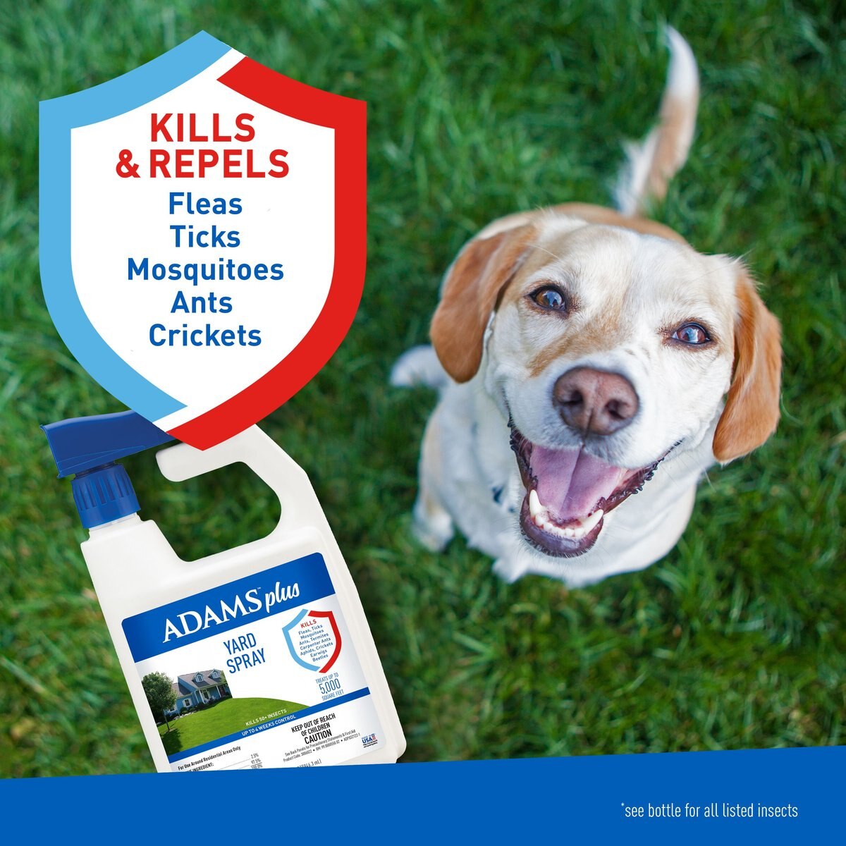 Adams Outdoor Flea and Tick Spray for Dogs and Cats