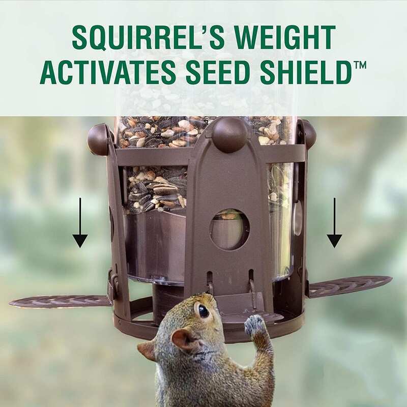 Squirrel Proof Bird Feeder with Weight Activated Perches