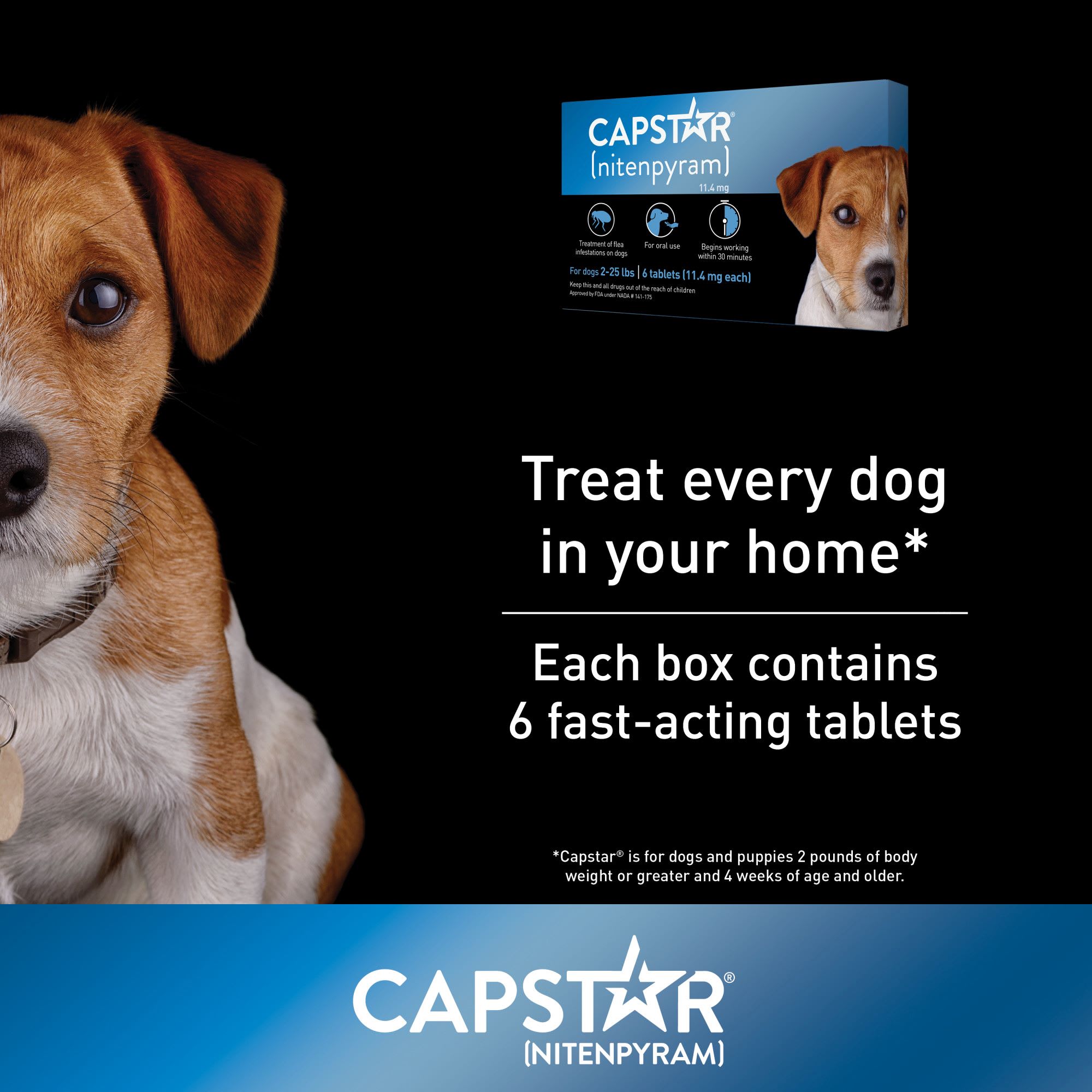 Capstar Flea Tablets for Dogs 2-25 lbs.， Count of 6