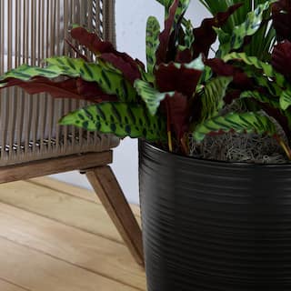 Vigoro 16 in. Avernal Large Black Satin Plastic Planter (16 in. L x 16 in. W x 13.1 in. H) HUPS00597N-16H