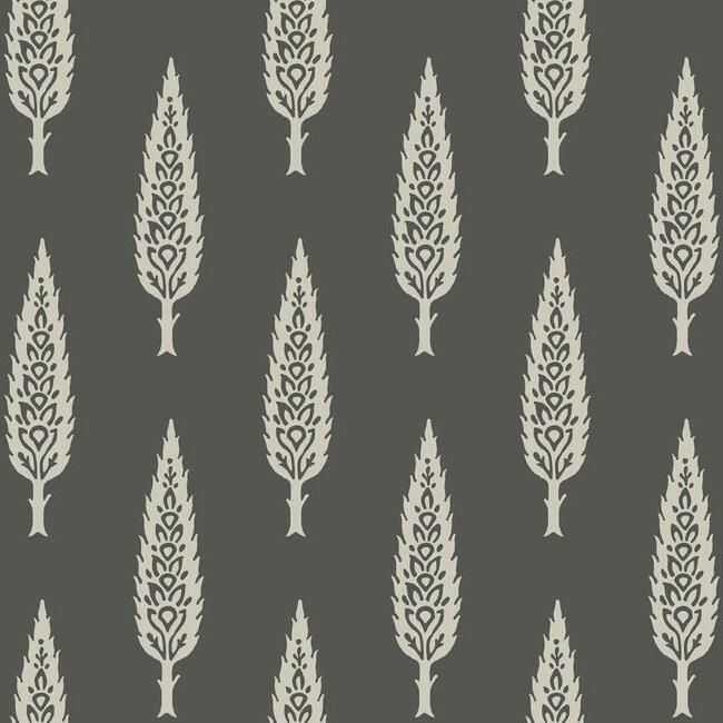 Juniper Tree Wallpaper in Black and Taupe from the Silhouettes Collection