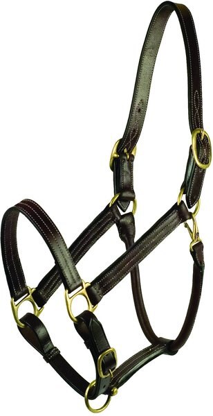 Gatsby Premium Adjustable Triple Stitched Horse Halter