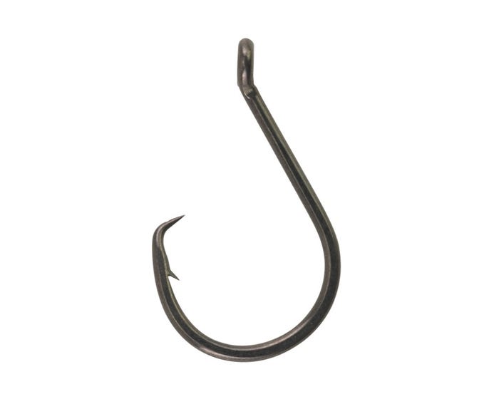 Berkley Fusion19 Circle Hooks - 1405864