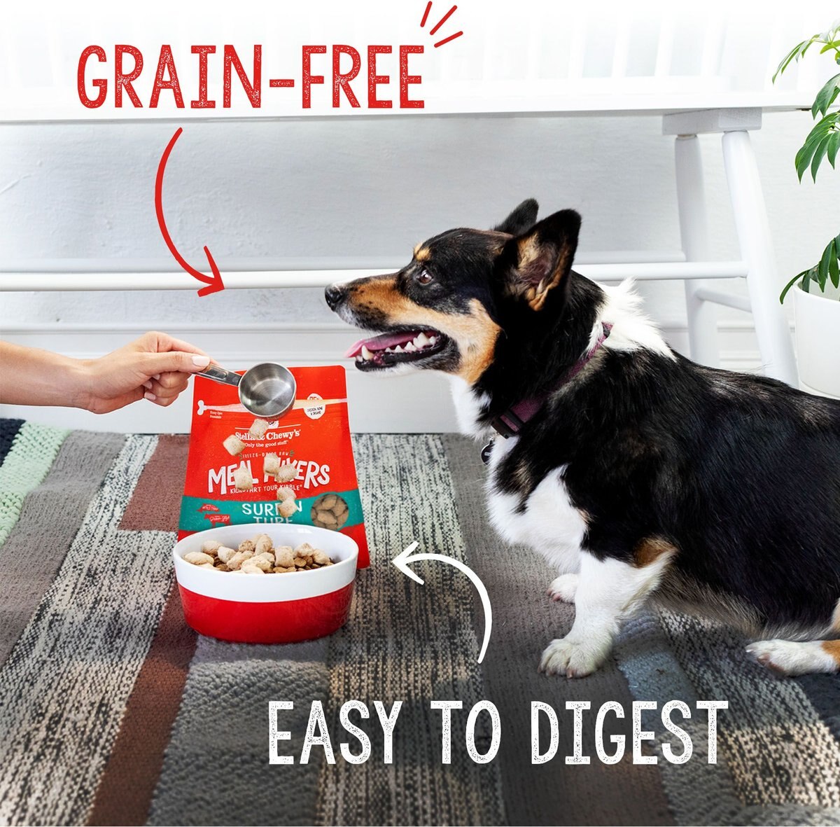 Stella and Chewy's Freeze Dried Raw Surf and Turf Meal Mixer Grain Free Protein Rich Recipe Dog Food Topper