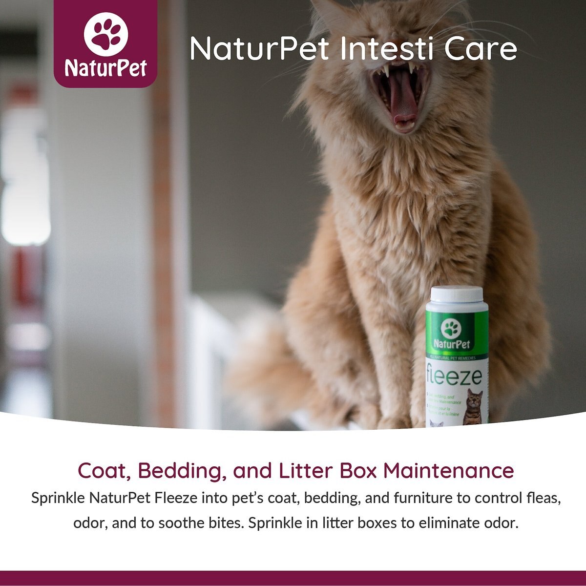 NaturPet Topical and Indoor Flea and Tick Powder for Dogs and Cats